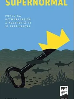 Supernormal - Meg Jay