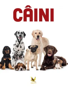 Caini, Animale de companie,
