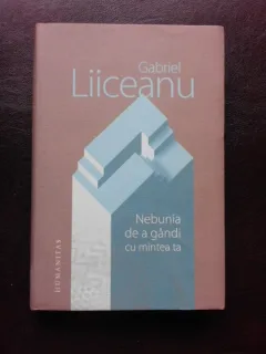 NEBUNIA DE A GANDI CU MINTEA TA - GABRIEL LIICEANU