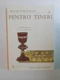 PENTRU TINERI , TEOLOGIC LITURGICA DE VASILE GAVRILA , BUCURESTI 2009