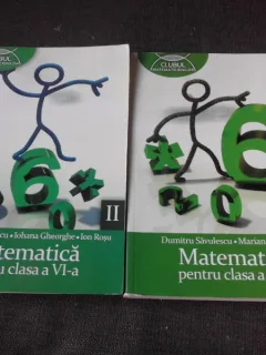Matematica pentru clasa a VI-a - Dumitru Savulescu  2 volume