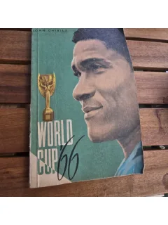 World Cup 66 , Ioan Chirila , 1966