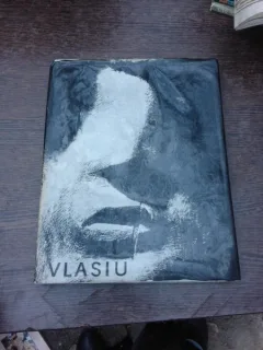 Ion Vlasiu, album