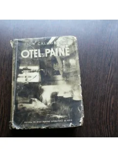 OTEL SI PAINE - ION CALUGARU