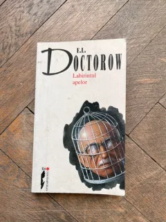 E. L. Doctorow - Labirintul apelor