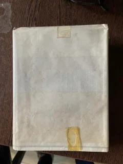 The holt basic dictionary of american english