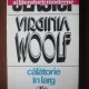 Virginia Woolf - Calatorie in larg