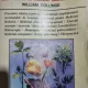 William Collinge - Cartea medicinei. Ghid complet de medicina complementara