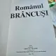 Margareta Kamla - Romanul Brancusi