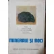 Gogu Parvu - Minerale si roci