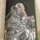 A Fashion Magazine - Pigeons & Peacocks