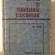 Walter Noll - Chimia si Tehnologia Siliconilor