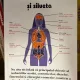 Tulburarile alimentare si silueta