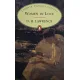 D. H. Lawrence - Women in Love