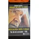 Itinerariile unei vieti, apocalipsa dupa Cioran - Gabriel Liiceanu