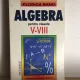Florica Banu - Algebra pentru clasele V-VIII