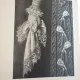 Olga Skronkova - Die Mode von der Renaissance bis zum Rokoko