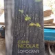 Ioana Nicolaie - Lomografii