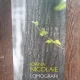 Ioana Nicolaie - Lomografii