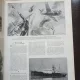 LIllustration 1939 - ziar francez, mai multe numere coligate (7 Octobre 1939 - 30 Decembre 1939)