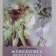 Mangaierea sufletului, valul de matase - Masha Alexandrovna