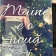 Maine e o Noua Zi - Lori Nelson Spielman