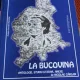 Mihai Eminescu la Bucovina - Nicolae Carlan