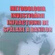 Metodologia investigarii infractiunii de spalare a banilor - Gheorghe Mocuta