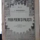 Prin Poeni si Pajisti - I.Simionescu