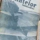 Ziarul Stiintelor si al Calatoriilor - Nr. 41
