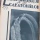 Ziarul Stiintelor si al Calatoriilor - Anul XL, Nr 23