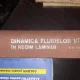 Dinamica fluidelor viscoase in regim laminar -  V.N.Constantinescu