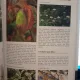 The complete encyclopedia of trees and shrubs - Nico Vermeulen