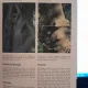 The complete encyclopedia of trees and shrubs - Nico Vermeulen
