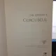 Curcubeul - D.H.Lawrence