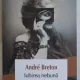Iubirea nebuna - Andre Breton