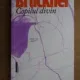 Pascal Bruckner - Copilul divin