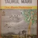 Ion Marin Sadoveanu - Taurul Marii