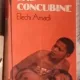 Amadi Elechi - The Concubine