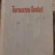 Turnarea Fontei - I. G. Ghirsovici