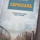 Alexandru Torik - Caprioara