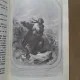 Uncle Tom s cabin - Harriet Beecher Stowe