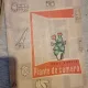 Paul Dabija - Plante de Camera