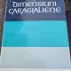 Silvian Iosifescu - Dimensiuni Caragialiene