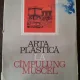 Arta plastica la Câmpulung Muscel
