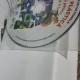 Elena Stoica, Adina Grigore - Educatie Plastica Manual pentru clasa a V-a (cu CD)