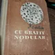Laurentiu Sofroni, K. I. Vascenko - Fonta cu Grafit Nodular