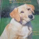 Chiens & compagnie. Comment les choisir, les élever, les soigner, les préparer aux concours