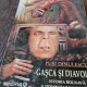 Pusi Dinulescu - Gasca si Diavolul. Istoria Bolnava a Domnului Manolescu