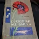 Curiozitati ale naturii - C. Moruzi
